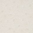 Parchment