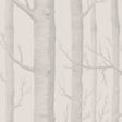 Parchment