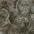 Pewter