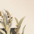 Parchment