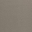 Pewter