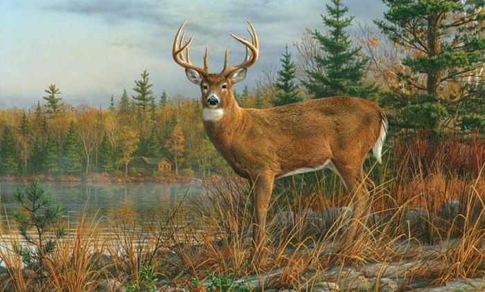 Fall Morning Buck Mural