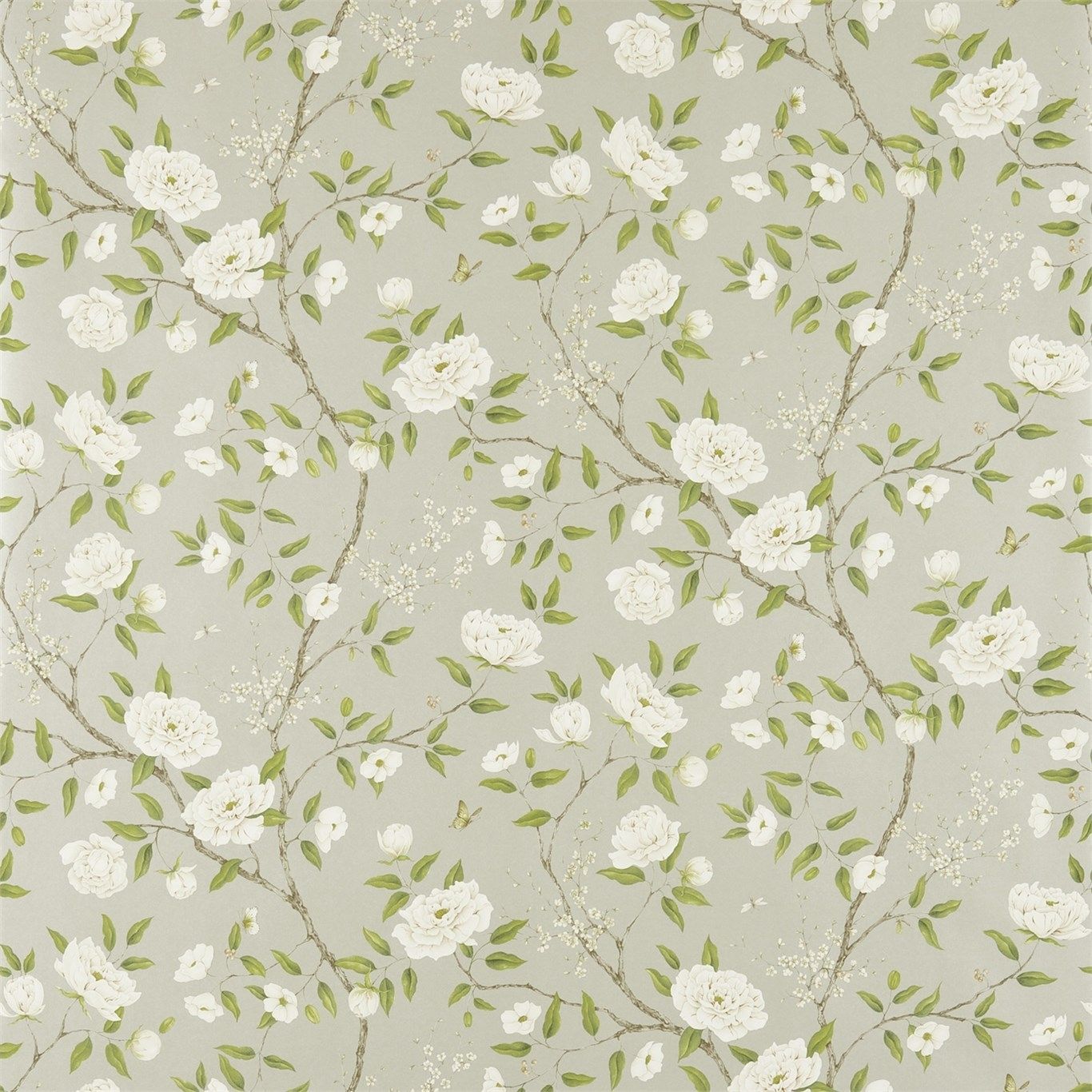 Silver - Romey's Garden