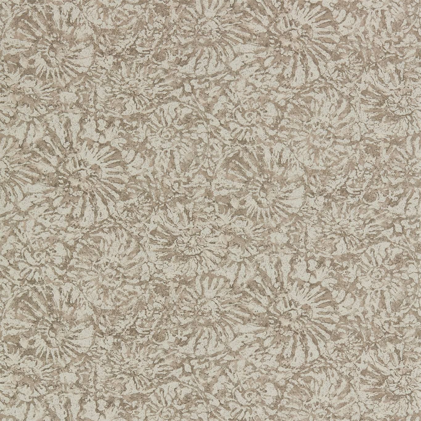 Pewter - Ammonite