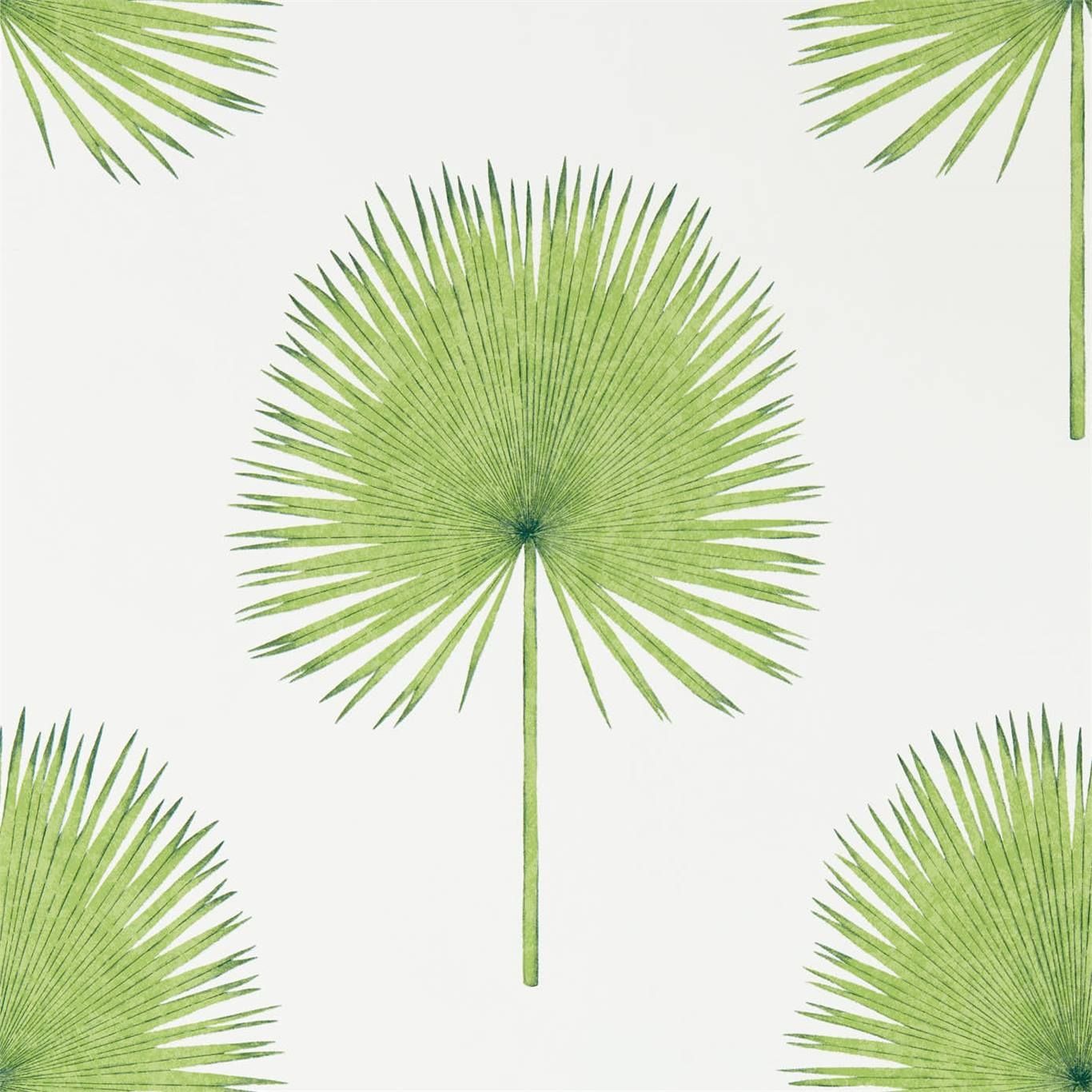 Green - Fan Palm
