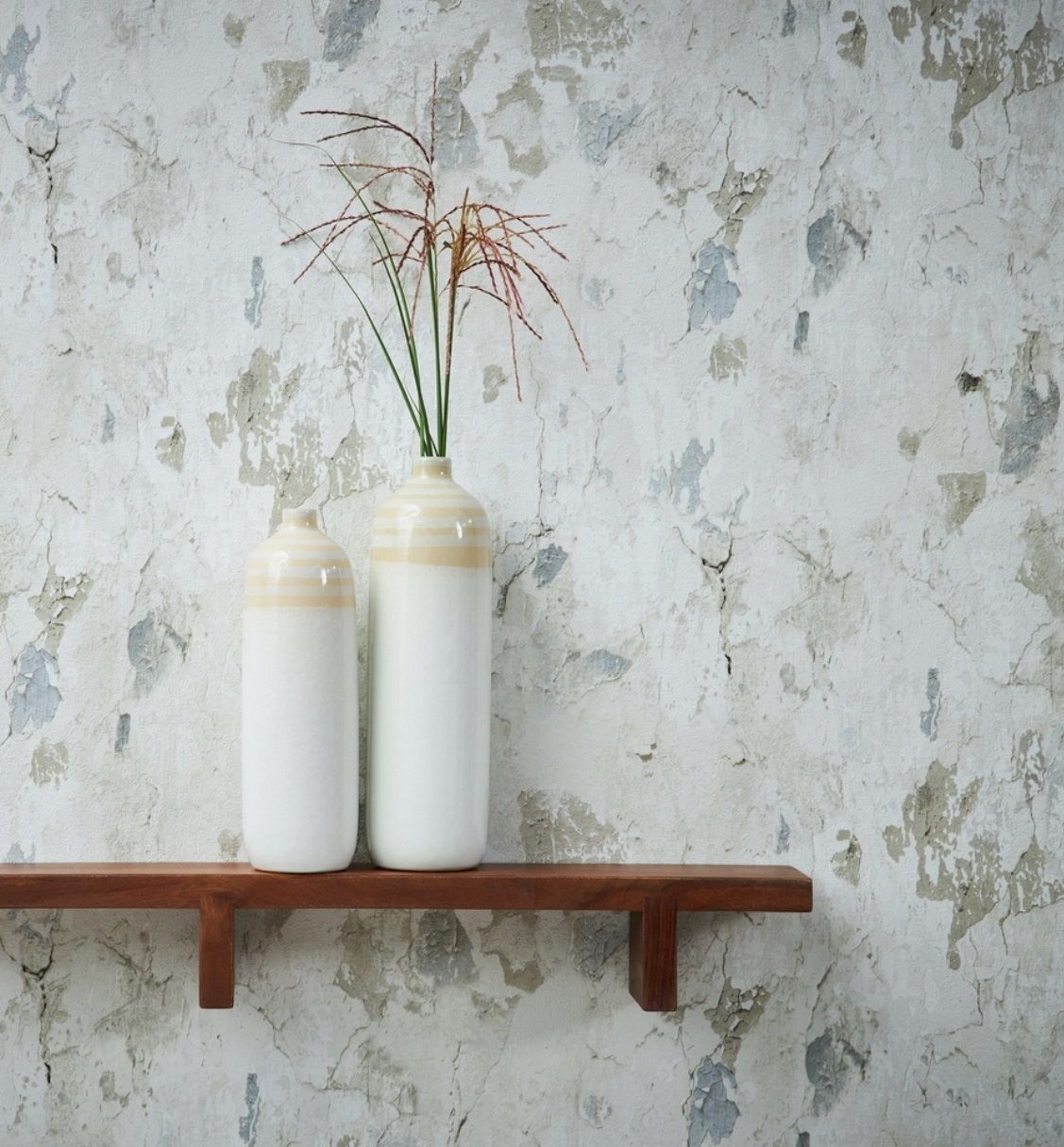 Taupe - Antonio's Plaster
