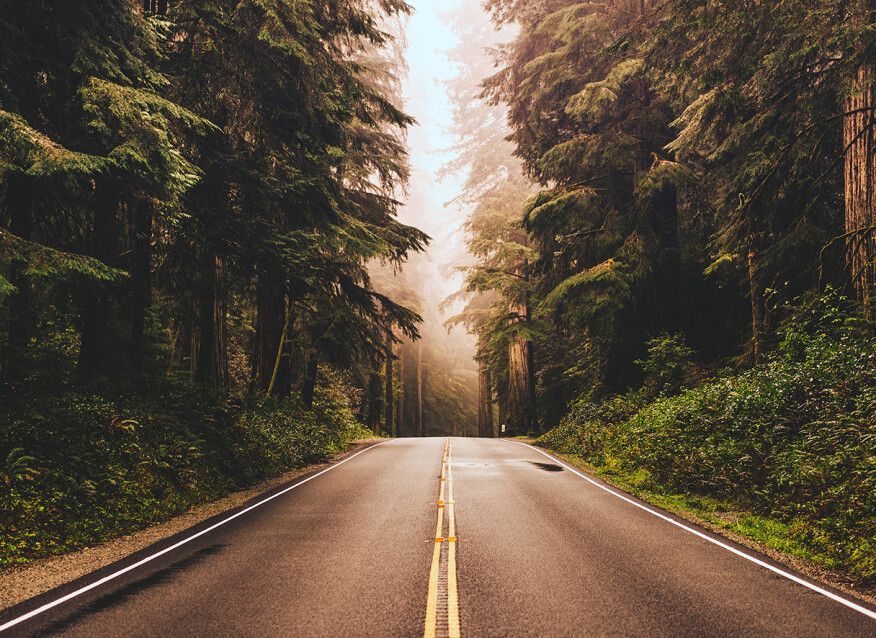 Road Trip Mural