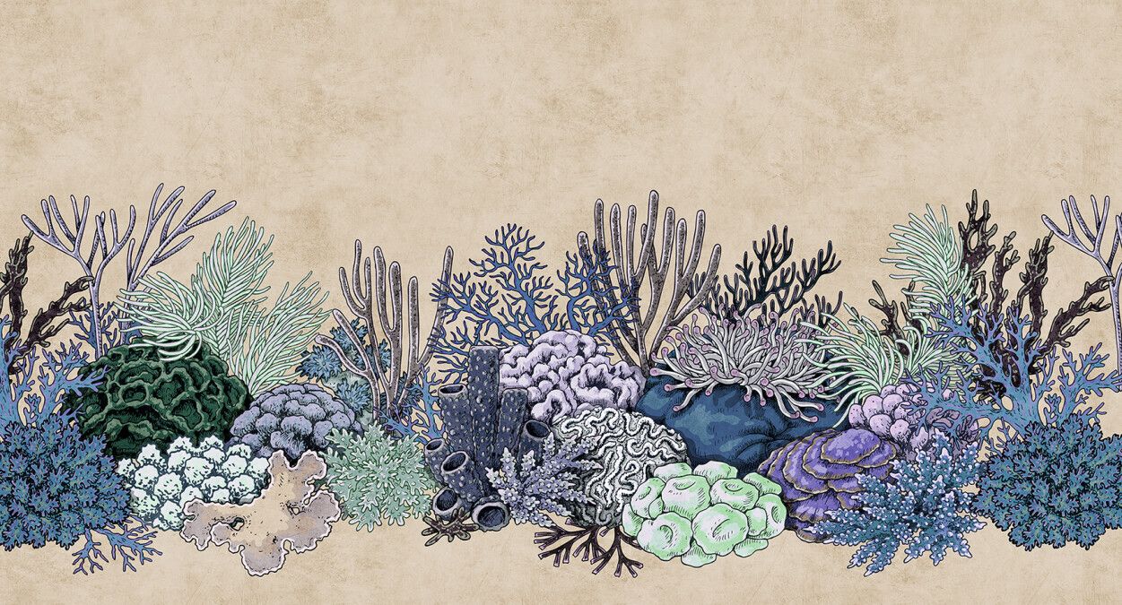 Octopus' Garden Mural - Sand