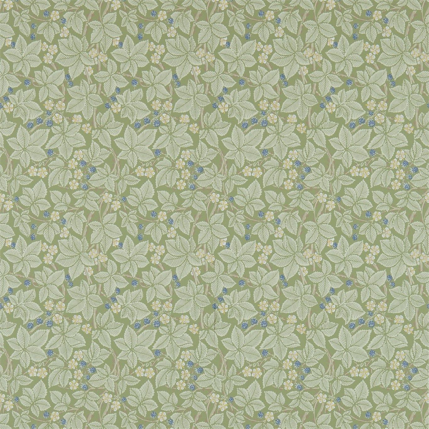 Olive - Bramble