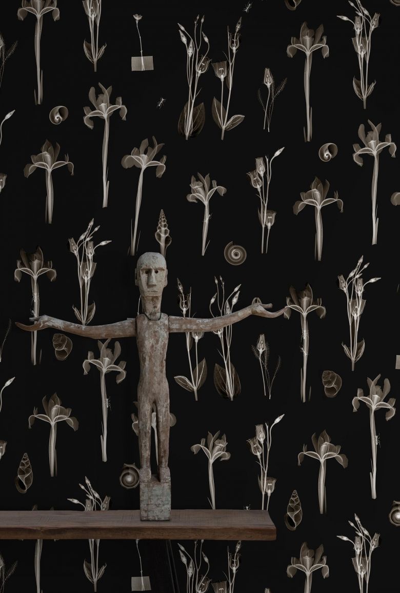 Black - X-Ray Botanics 01