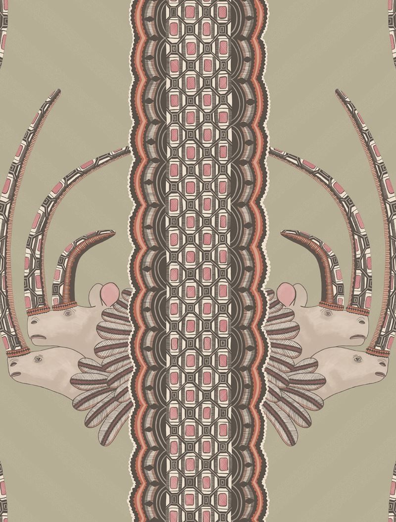 Olive - Jabu