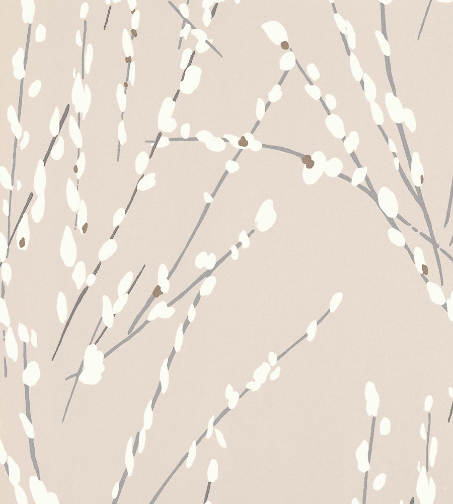 Beige - Mikado