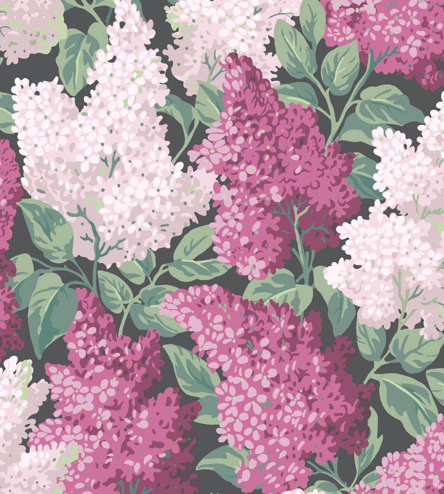 Pink - Lilac