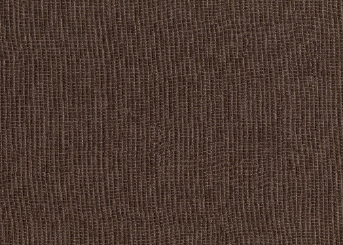 Bronze - Canvas