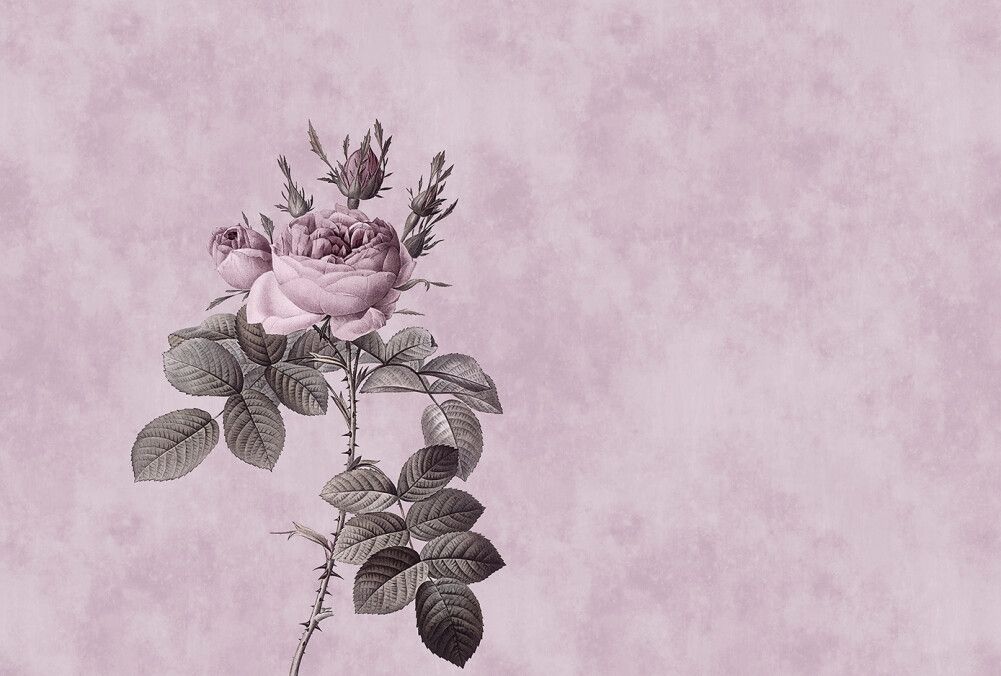 Rose 1 Mural