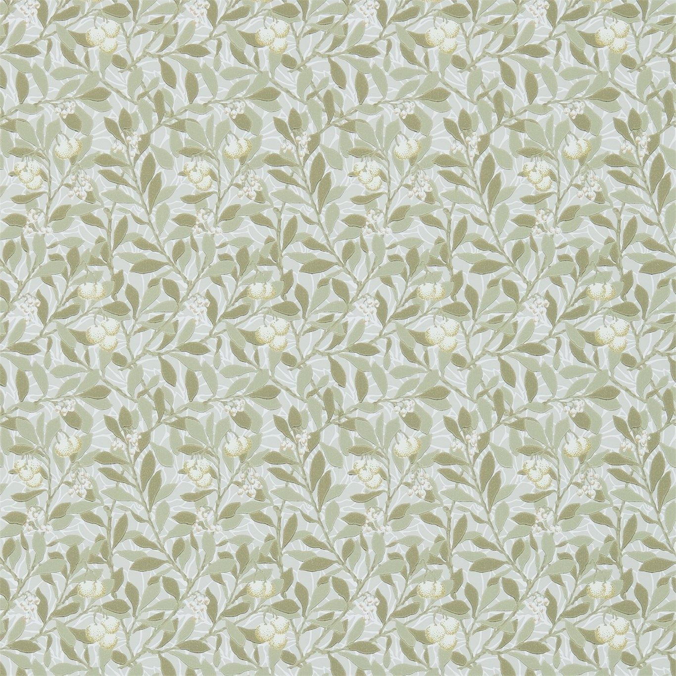 Khaki - Arbutus
