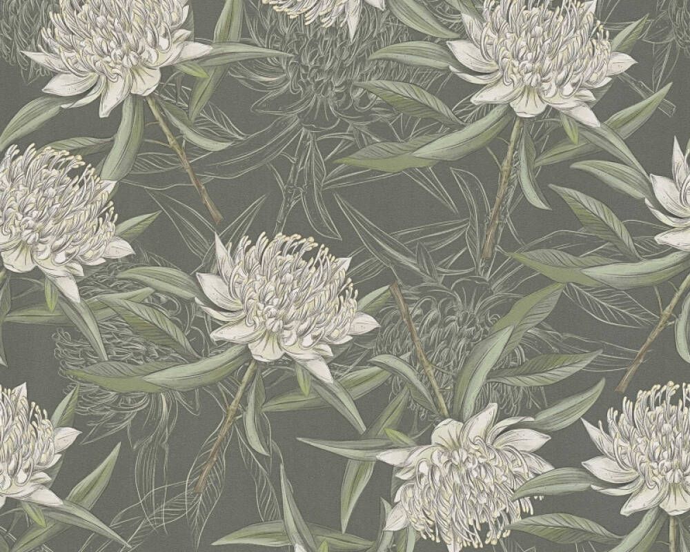 Green - White Waratah
