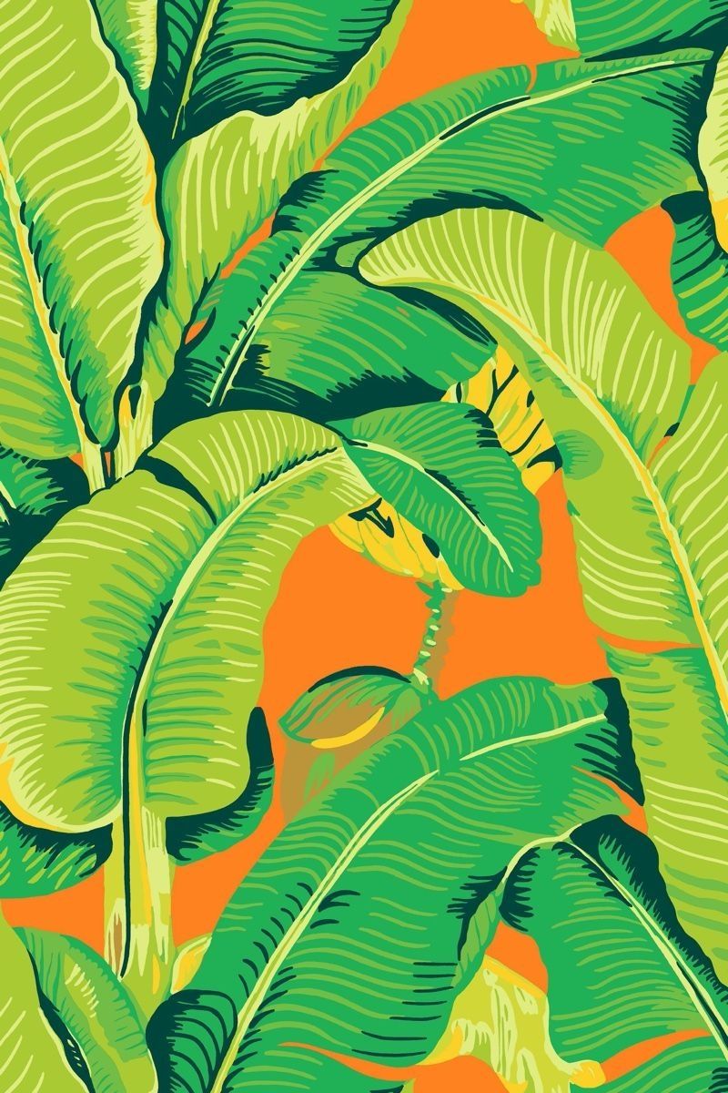 Orange - Hinson Palm