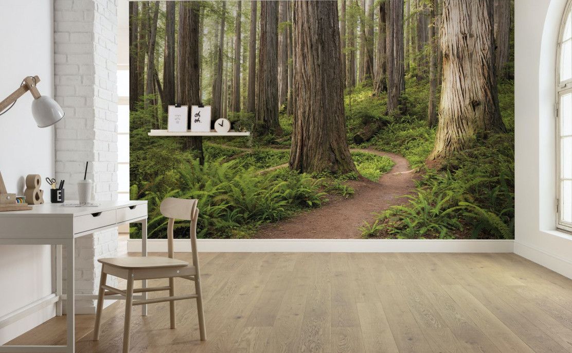Redwood Trail Mural