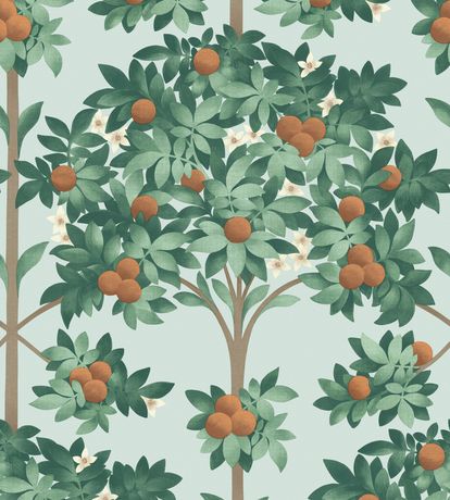 Orange - Orange Blossom