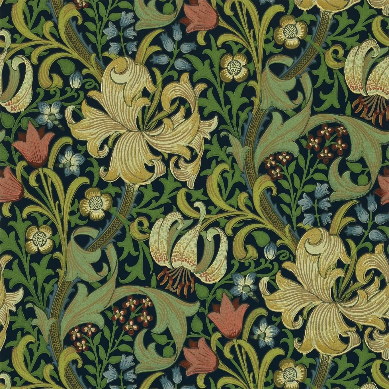 Navy - Golden Lily