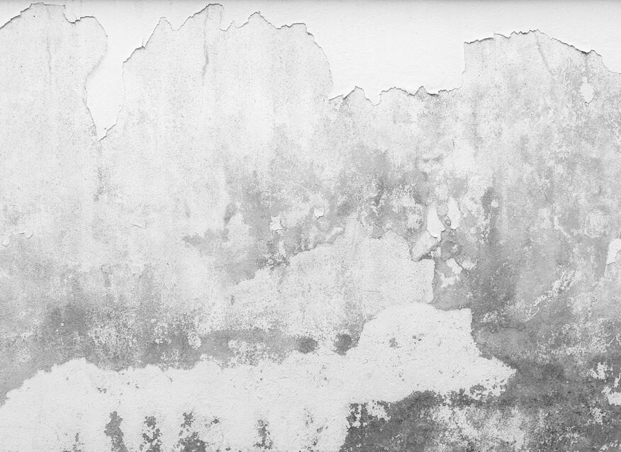 Brittle Wall Mural