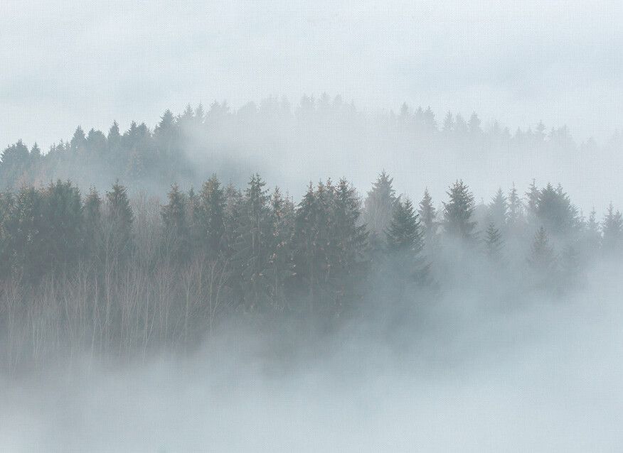 Misty Forest Mural