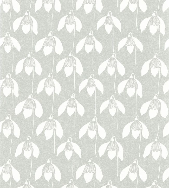 Grey - Snowdrop