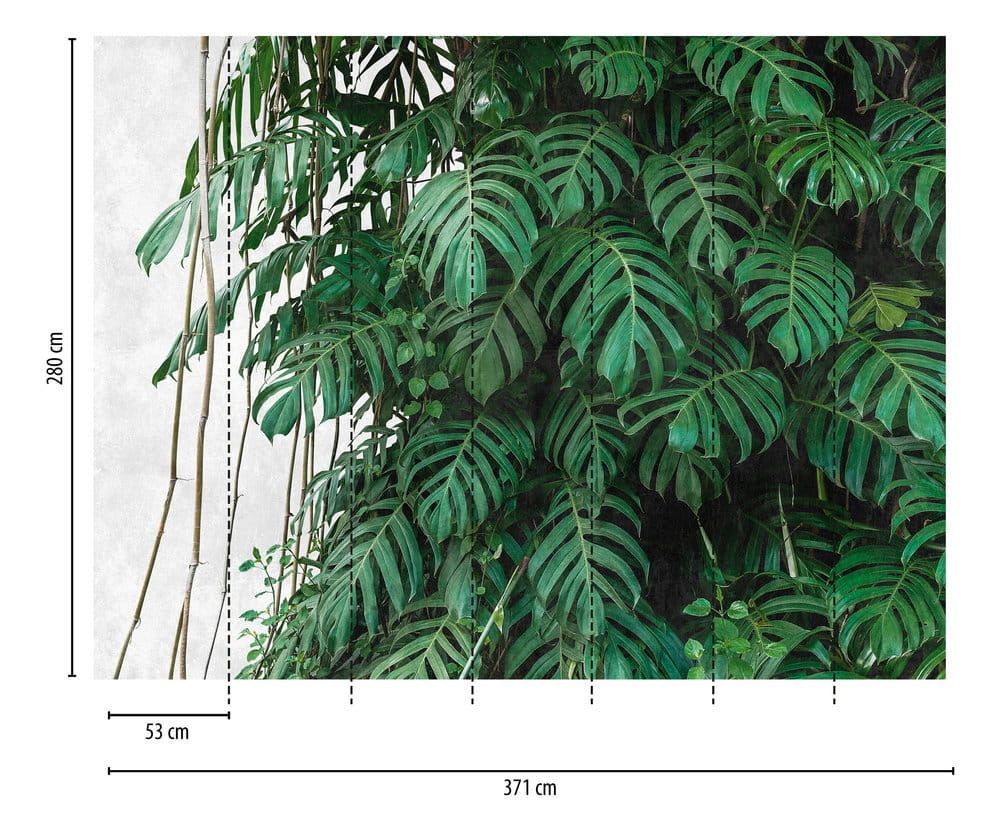 Monstera Wall Mural