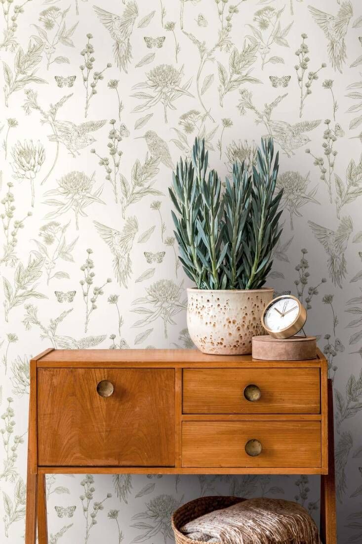 Olive - Waratah & Bird