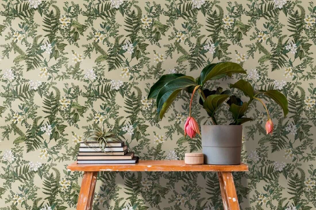 Olive - Frangipani