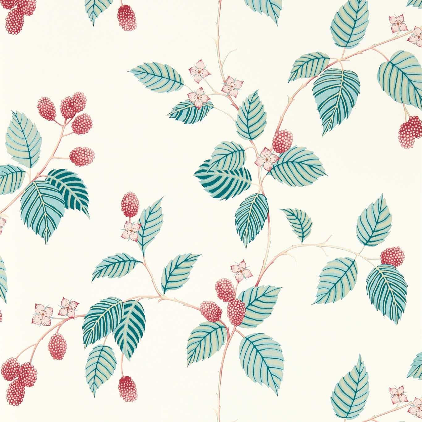 Aqua - Rubus