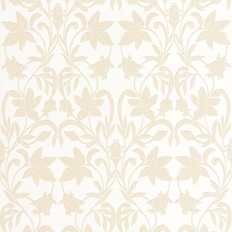 Beige - Primrose