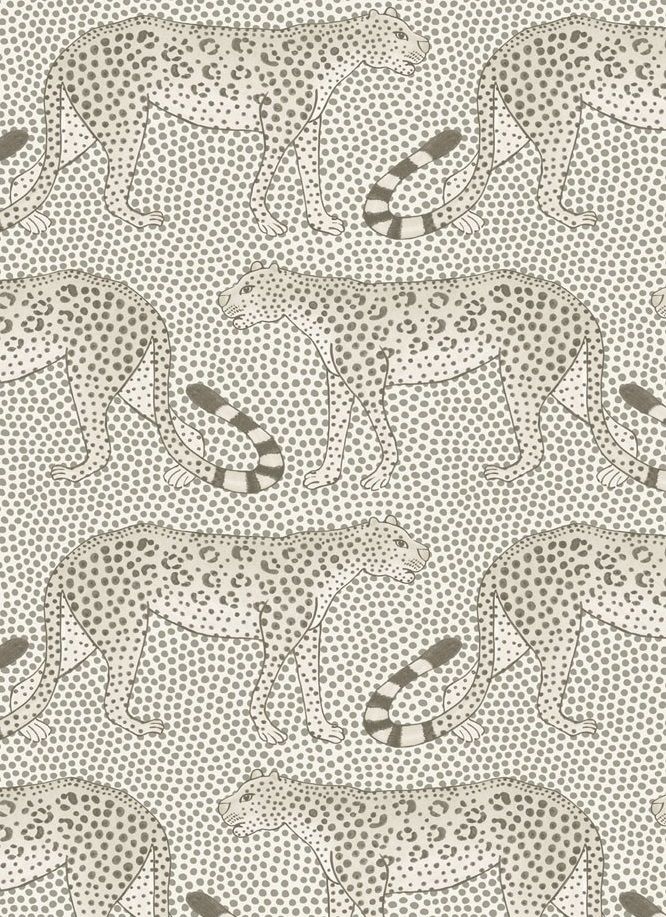 Grey - Leopard Walk