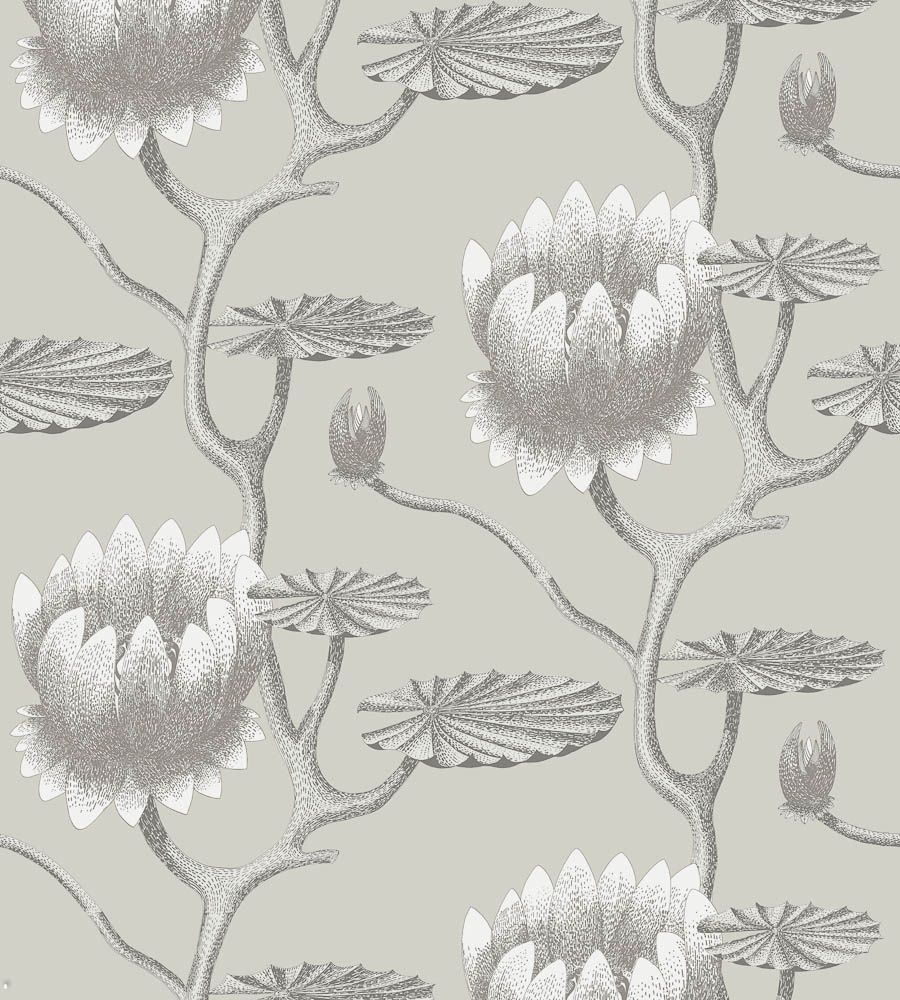 Taupe - Summer Lily