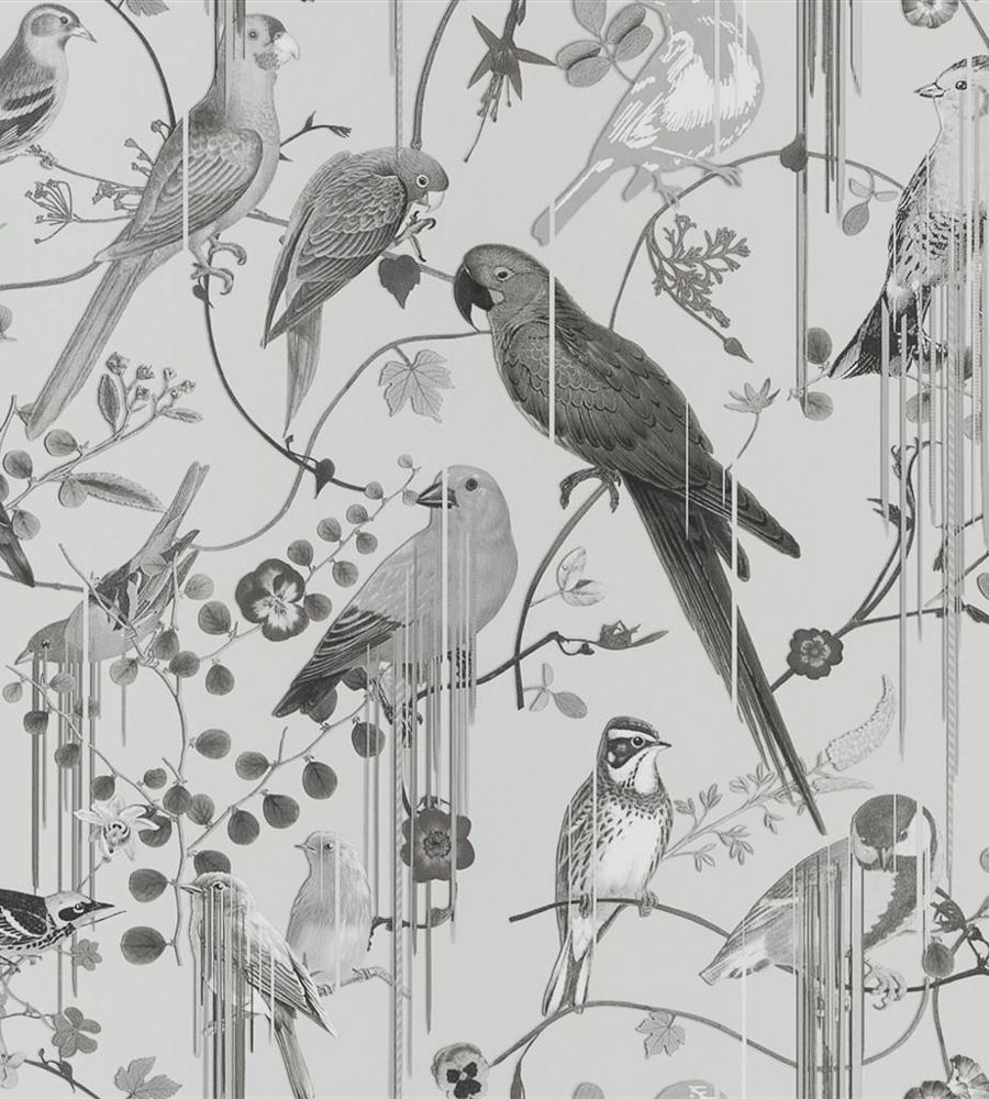 Grey - Birds Sinfonia by Christian Lacroix
