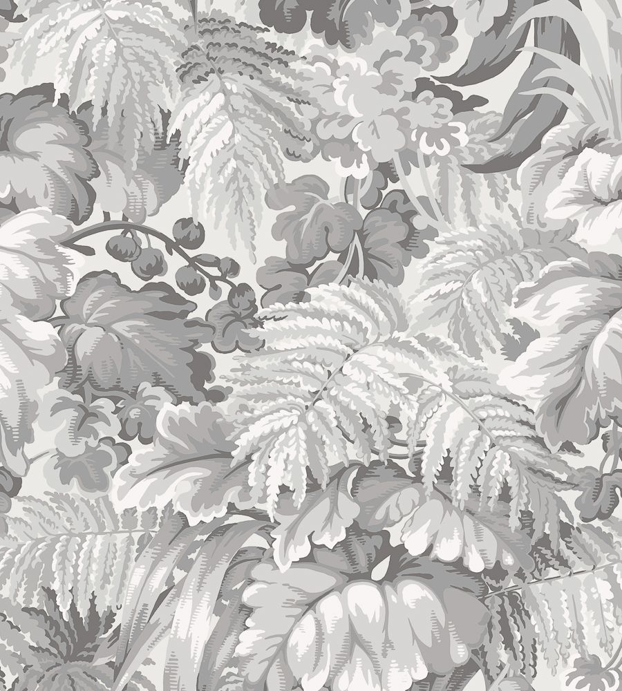 Grey - Royal Fernery