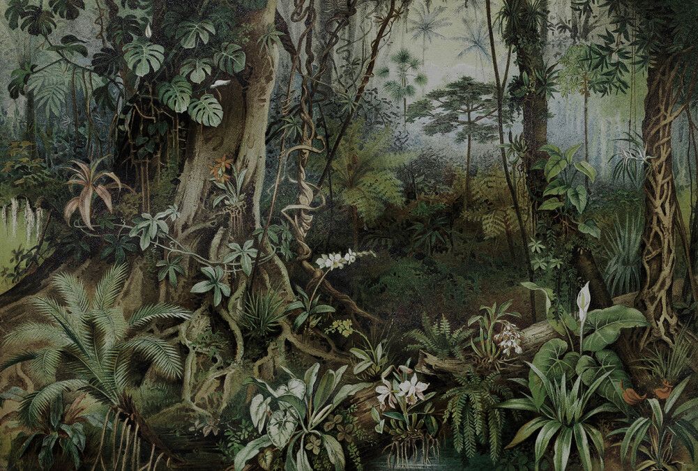 Jungle Mural - Green