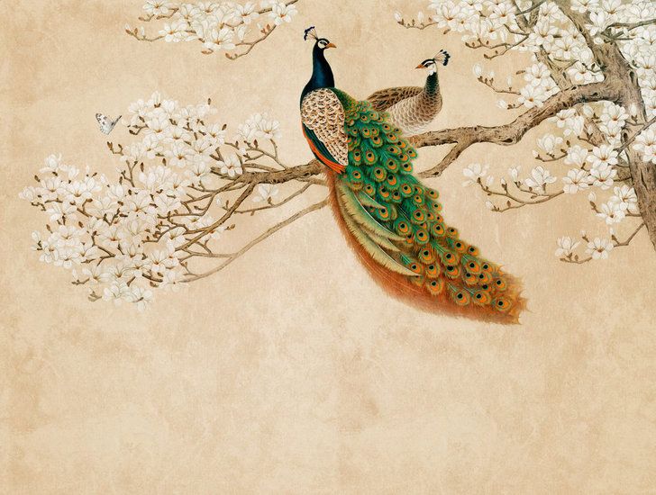 Peafowl Mural