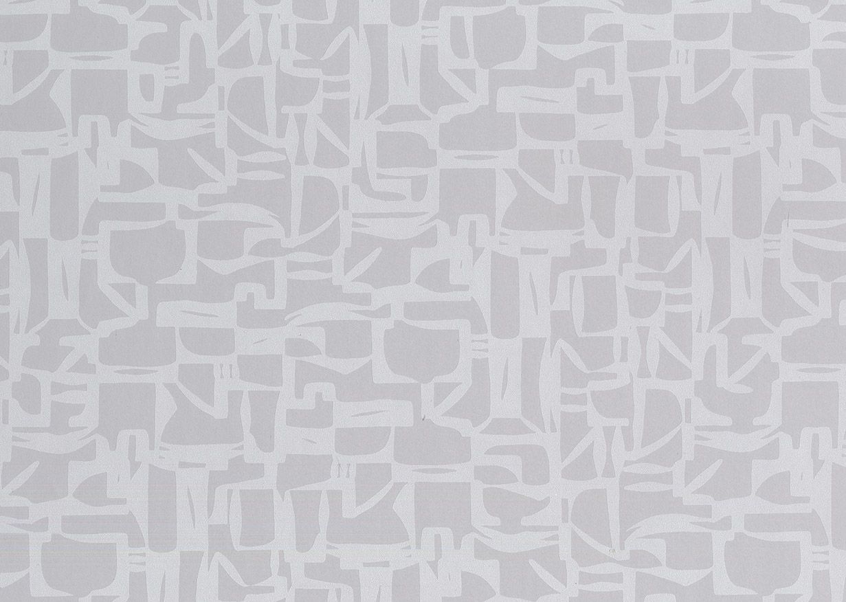 Grey - Pigmeo