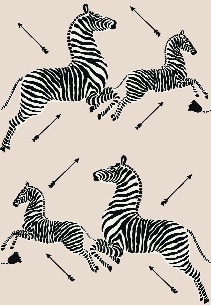Driftwood - Zebras