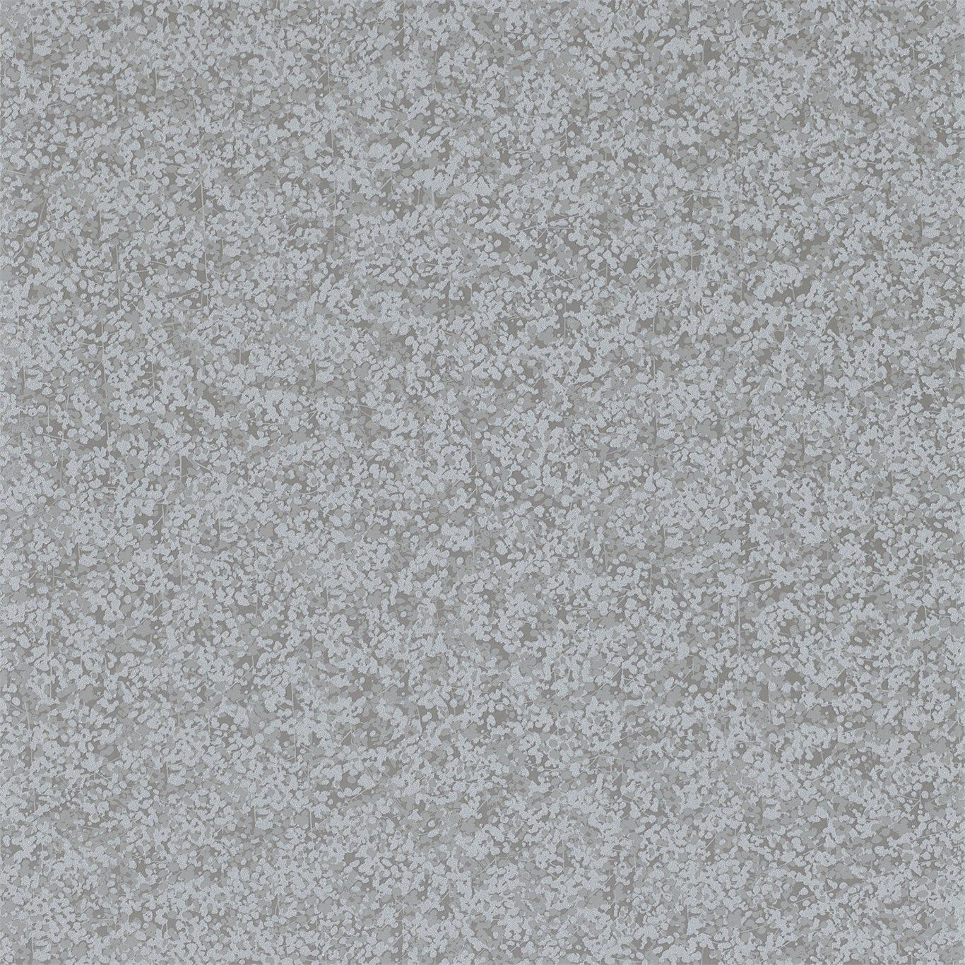 Silver - Coral Anthology