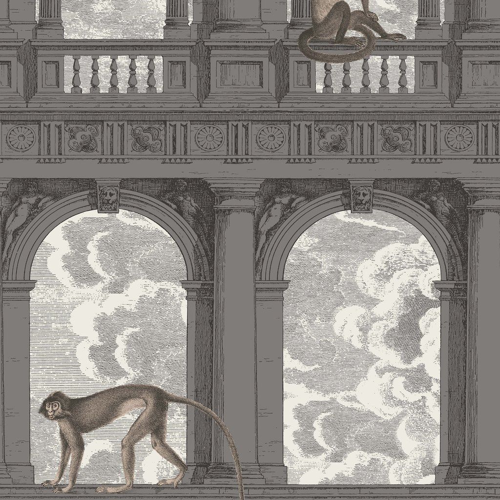 Grey - Procuratie Con Vista