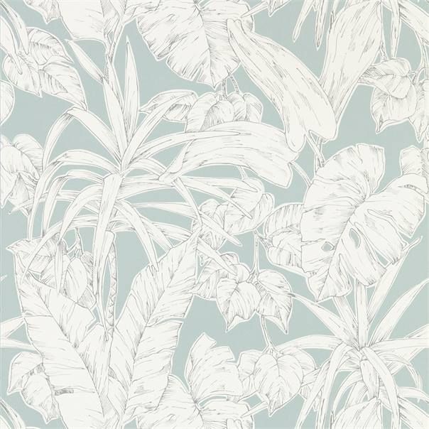 Grey - Parlour Palm