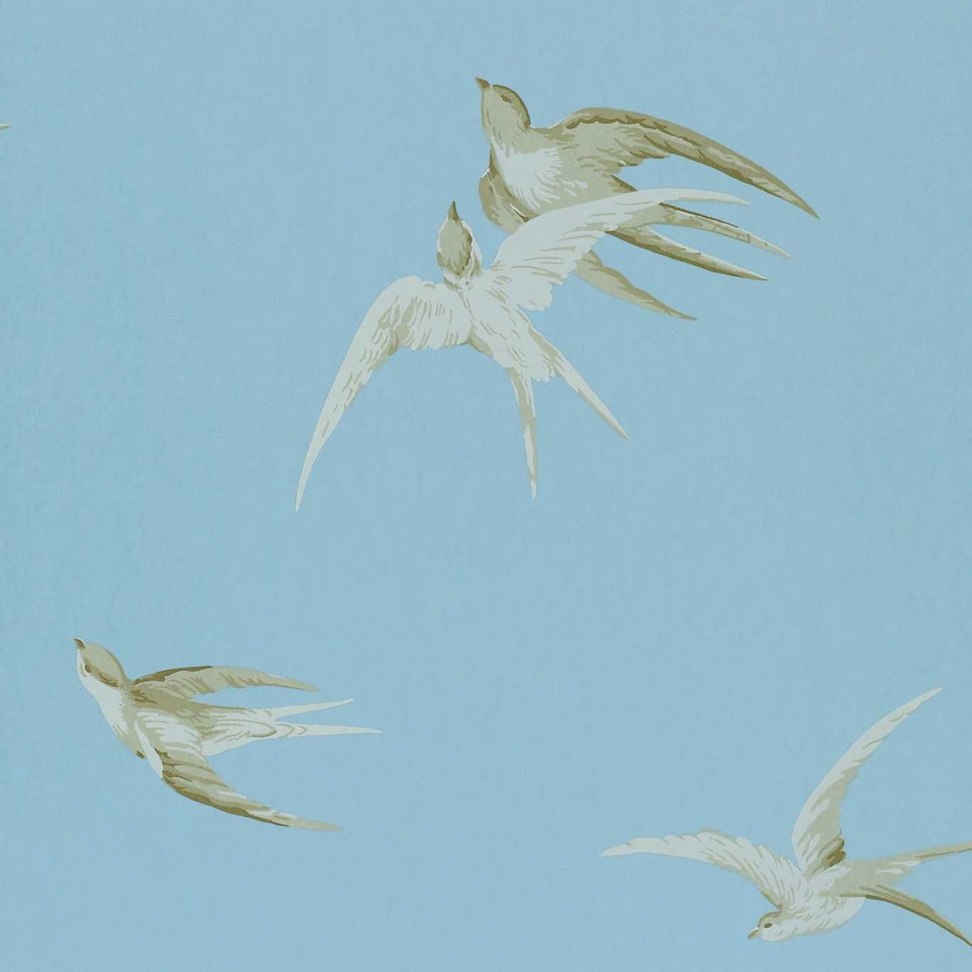 Blue - Swallows