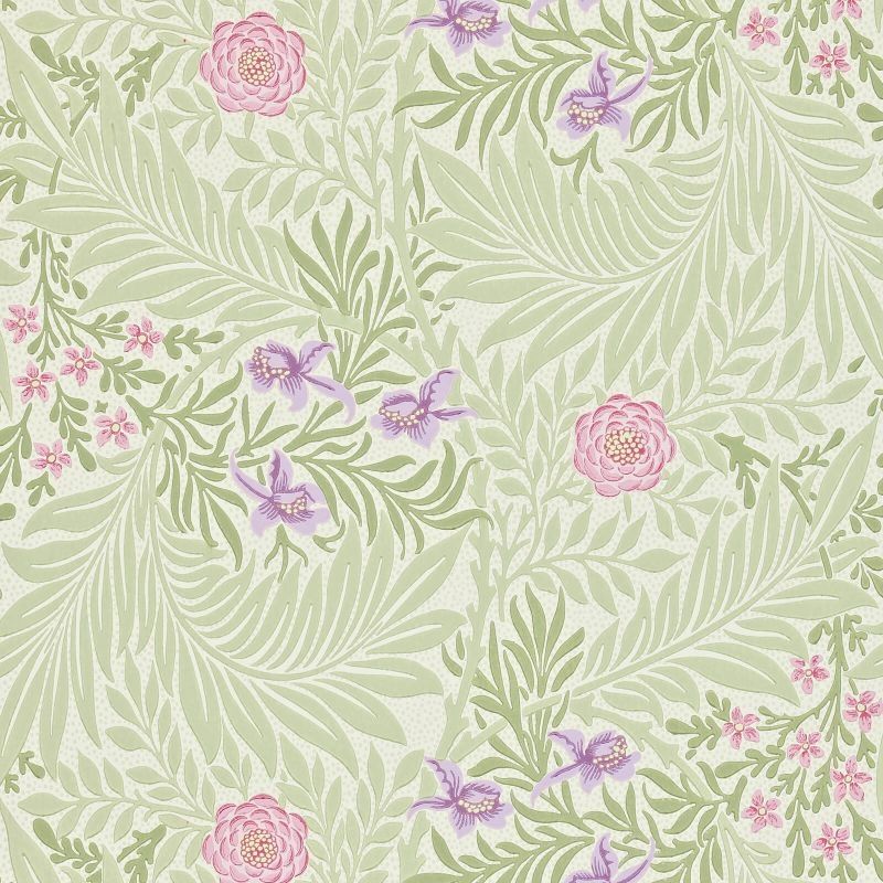 Olive - Larkspur