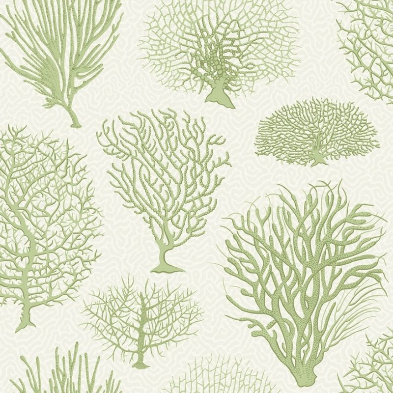 Pistachio - Seafern
