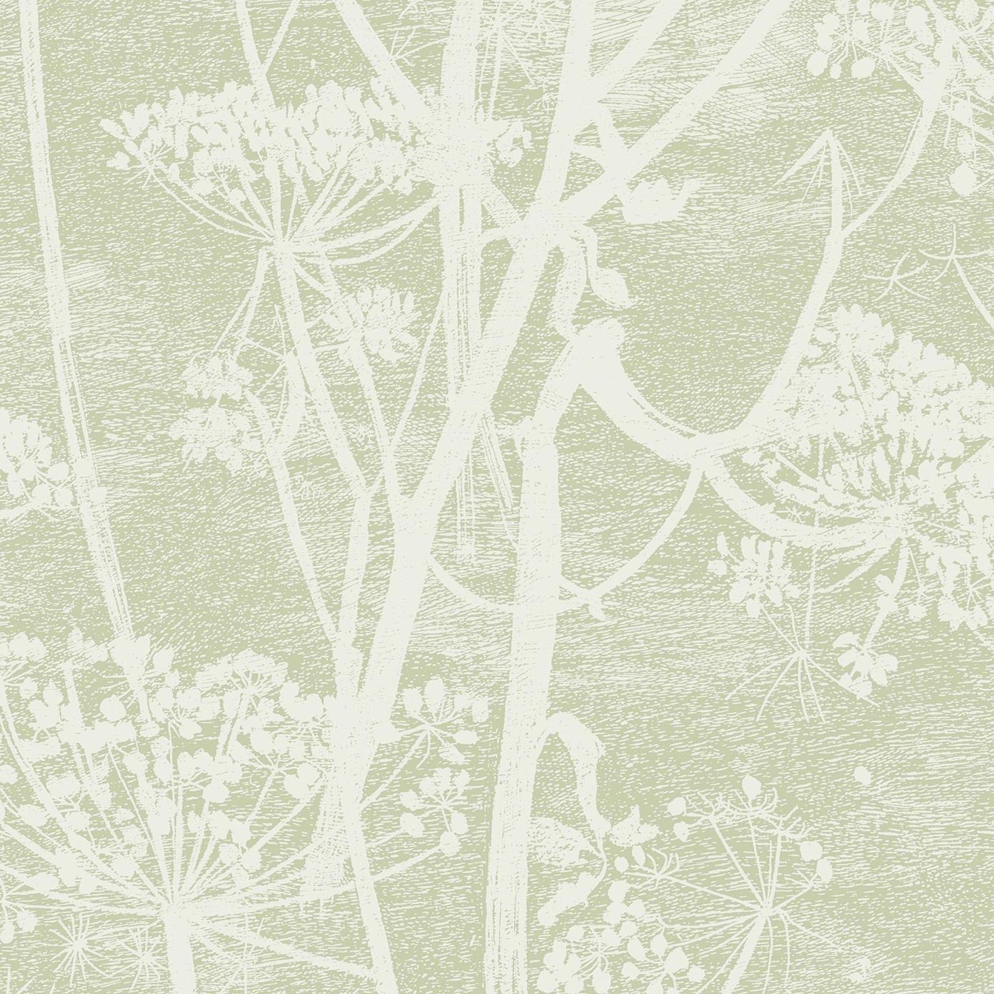 Mint - Cow Parsley