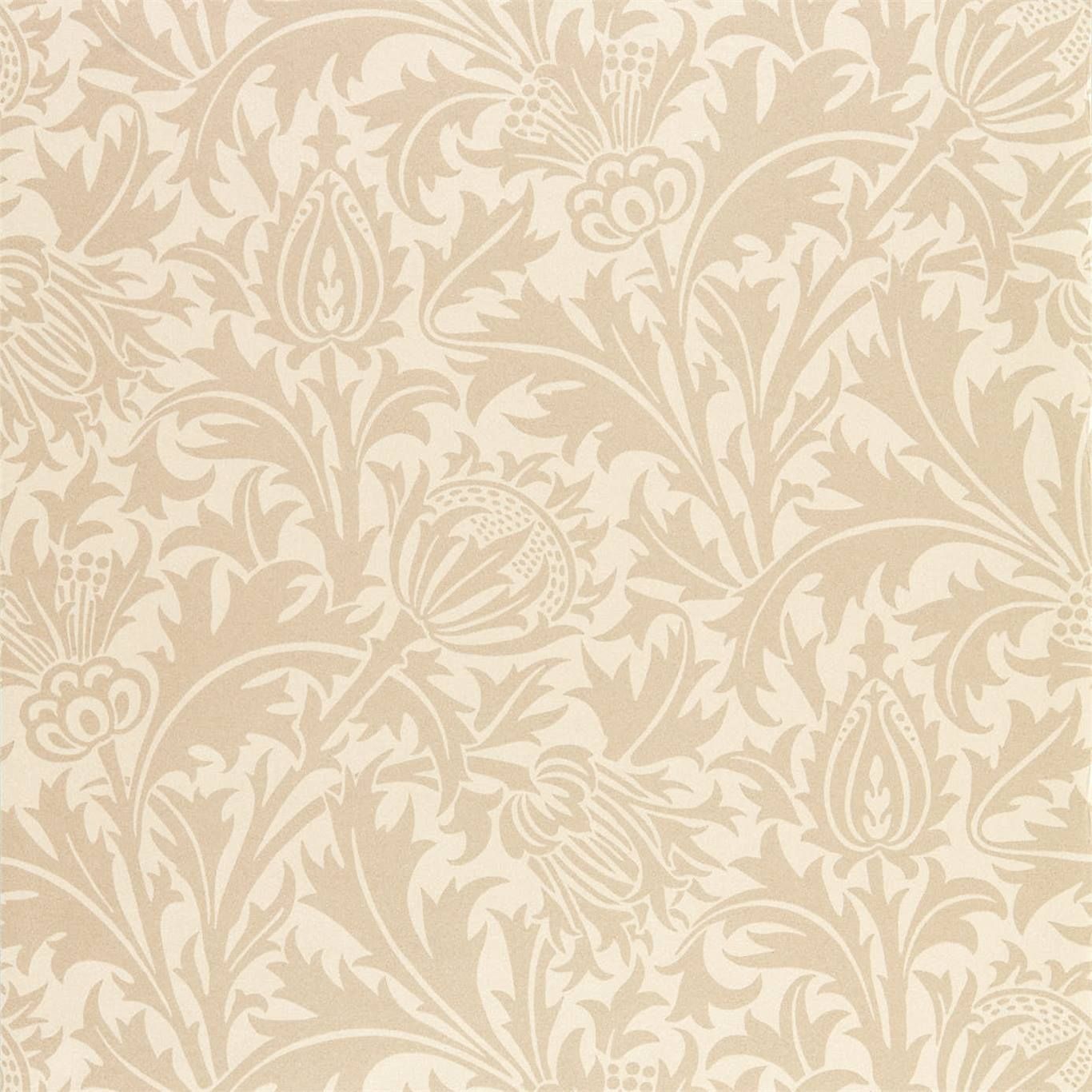 Champagne - Pure Thistle