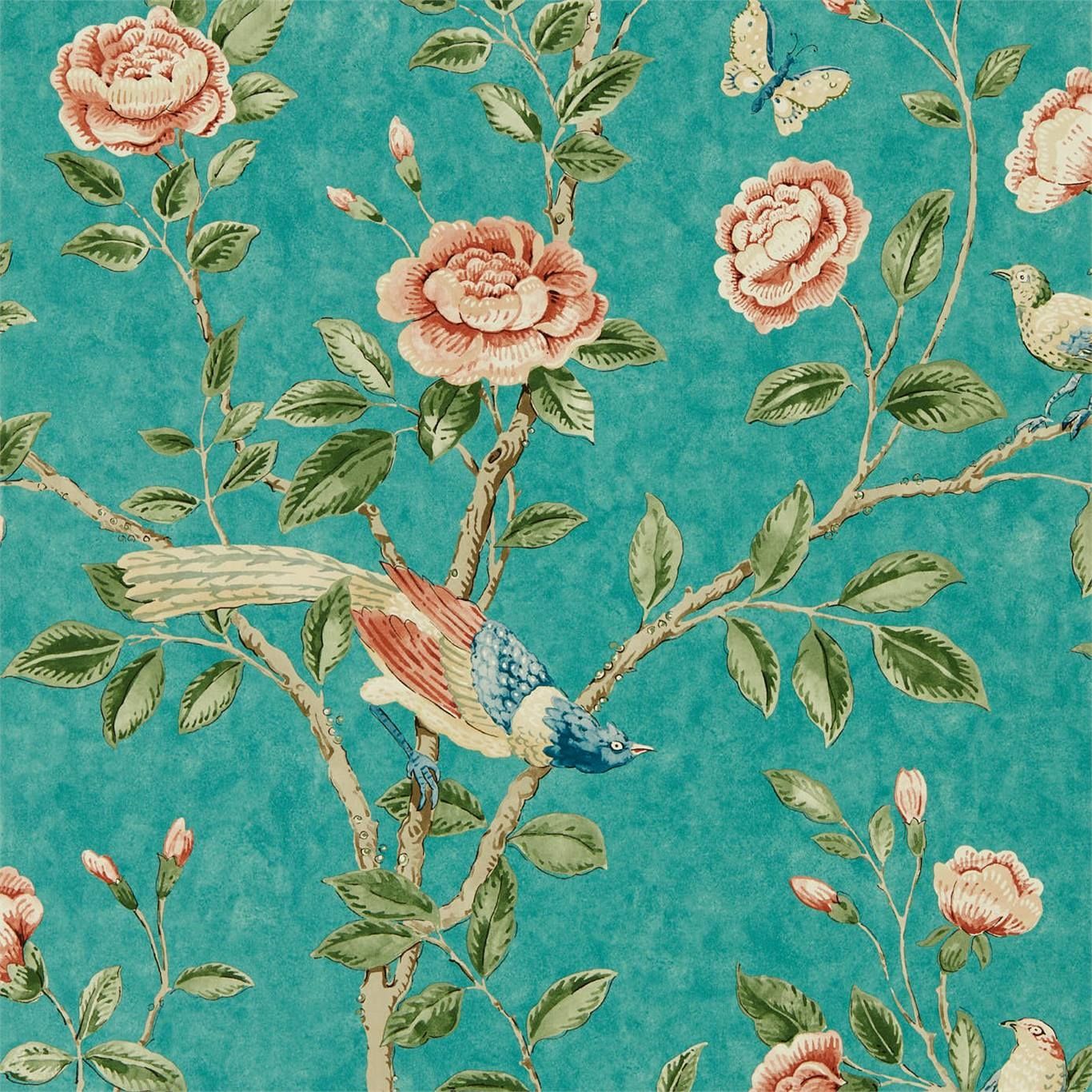 Teal - Andhara